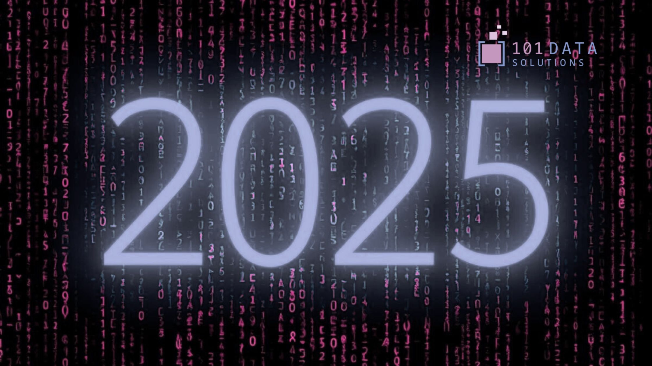 101 data solutions 2025