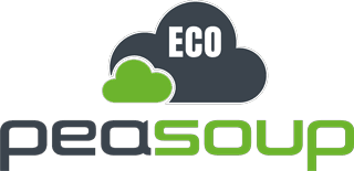 PeaSoup Cloud 101 Data Solutions Partner